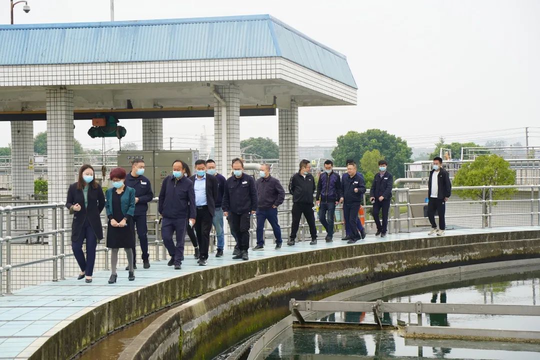 民革德阳市委调研亚洲av
